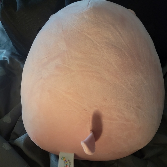 Pink hippo squishmallow - Picture 2 of 2